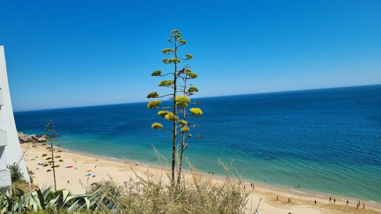 Sesimbra Sun&Sea - Beachfront Apartment! Екстер'єр фото